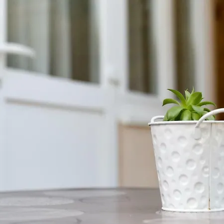 Close To The - Borik * Zadar