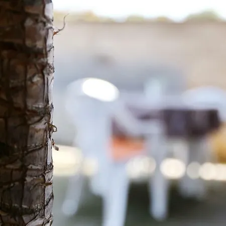 Close To The - Borik * زادار