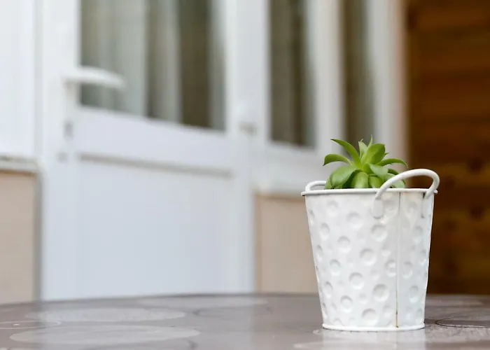 Close To The - Borik * Задар