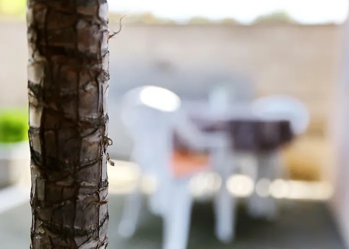 Close To The - Borik * Задар